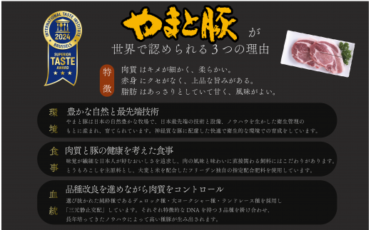 岩手県産 やまと豚５種2.6㎏ 国産 肉 豚肉 やまと豚 鍋 焼肉 豚ロース 豚バラ 豚こま モモスライス ひき肉 とんかつ 生姜焼き しゃぶしゃぶ