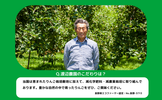 りんご シナノスイート 秀 ～ 特秀 10kg 渡辺農園 2024年10月中旬頃から2024年11月上旬頃まで順次発送予定 令和6年度収穫分 エコファーマー認定 減農薬栽培 長野県 飯綱町 [0172]