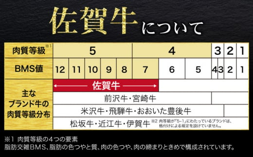 【全12回定期便】＜30万コース＞特選佐賀牛 月替わりバラエティパック 計5.9kg 株式会社弥川/吉野ヶ里町 [FCV005]