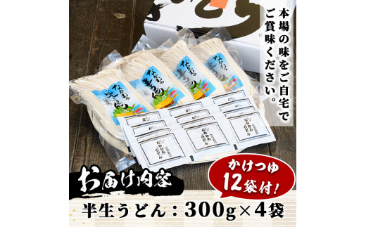 「なかむらうどん」＜つゆ付＞ 半生うどんセット(12食分・300g×4袋) 本場 讃岐 さぬき 香川県 麺 コシ 常温 常温保存 【man144】【なかむら】