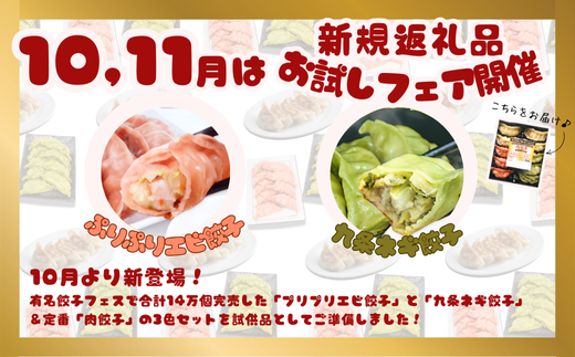 【訳あり】「冠生園」の冷凍野菜餃子：4パック + お試しセット