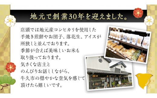 うす焼き煎餅詰め合わせ（54枚入り） せんべい セット 薄焼き コシヒカリ 手焼き ごま えび あおさ 醤油 4種類