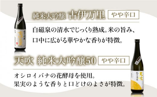 THE SAGA認定酒 純米大吟醸酒 おまかせ2本セット 720ml×2本 吉野ヶ里町/ブイマート・幸ちゃん [FAL072]