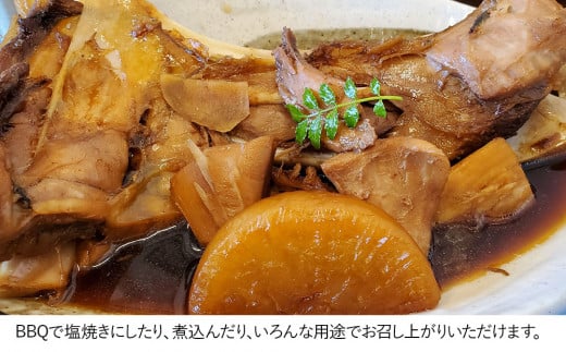 豊後まぐろ ヨコヅーナ カマ 鮪 マグロ かま 海鮮丼 希少部位 カマトロ 刺し身 BBQ 塩焼き 煮つけ 冷凍 漬け丼 大分県産 九州産 津久見市 国産