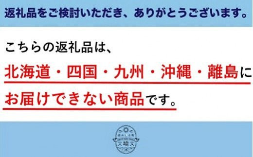 S121 さかいの梨幸水3kg（限定70箱）