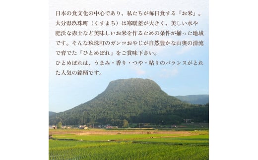 【令和6年産】ひとめぼれ５kg ｜ ガンコおやじこだわりのひとめぼれ