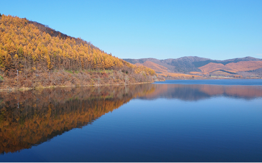 特別ディナー付ペア宿泊券（コテージ）冬季　※11～5月 北海道 南富良野町 かなやま湖 宿泊券 宿泊 泊まる ツインルーム 旅行 贈り物 ギフト