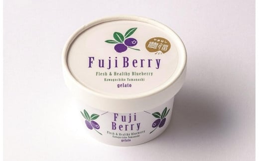 Fuji Berry ブルーベリーアイス食べ比べセット NSAA007