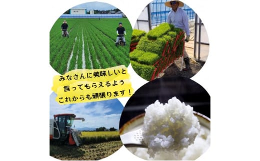 令和6年度産　上越市産コシヒカリ　10kg　新米　精米　新潟　米　新潟県　こしひかり　限定　おすすめ