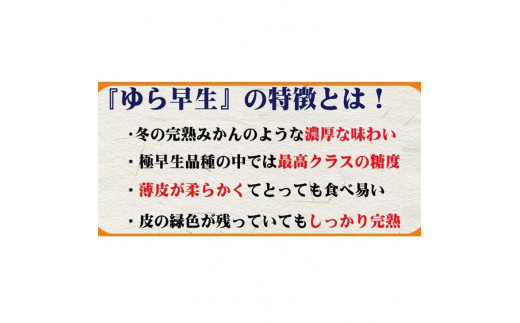 濃厚な味わい ゆら早生みかん約10kg 希少品種《有機質肥料100％》【2024年10月より順次発送】