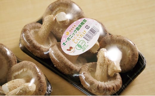 オーガニック 菌床生しいたけ・生きくらげ 約1kg（各500g） [№5734-0099]