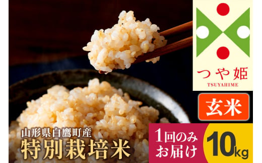 【令和6年産新米】〈玄米〉 つや姫 10kg（特別栽培米）