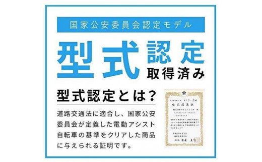 【100％完成納品】PELTECH（ペルテック）後チャイルドシート付子供乗せ適用電動アシスト自転車 20型内装3段 TDN-207LP-8 AH-CH【マットカーキ】