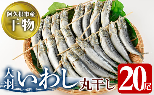 鹿児島県阿久根市産干物！大羽いわし丸干し(20尾)