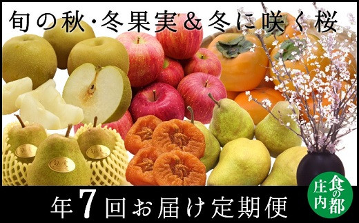 食の都庄内　【秋・冬定期便7回】旬の秋・冬果実＆冬に咲く桜　年7回お届け定期便