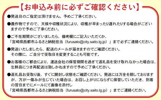 鉢植栽培 西都産完熟マンゴー 2L×2個 宮崎県西都産 サムライファーム【先行予約】＜1.5-130＞宮崎マンゴー 果物 フルーツ 甘い