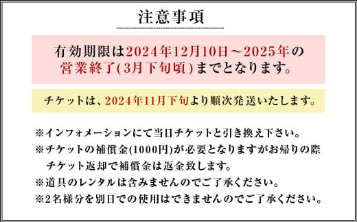 くじゅう森林公園スキー場 1日分 リフトフリーパス券2名様分 