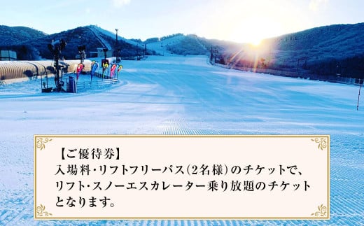 くじゅう森林公園スキー場 1日分 リフトフリーパス券2名様分 