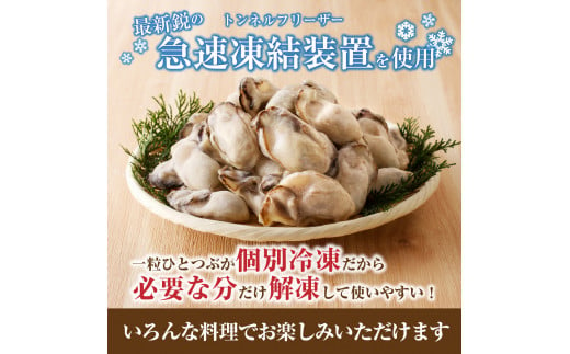 牡蠣 冷凍 むき身 ２kg 備前市日生産 急速凍結牡蠣 一年牡蠣 国産 加熱調理用 牡蠣アヒージョ 牡蠣ご飯 カキフライ 海鮮鍋  全国牡蠣-1グランプリ豊洲2024 加熱部門初代グランプリ受賞！ 