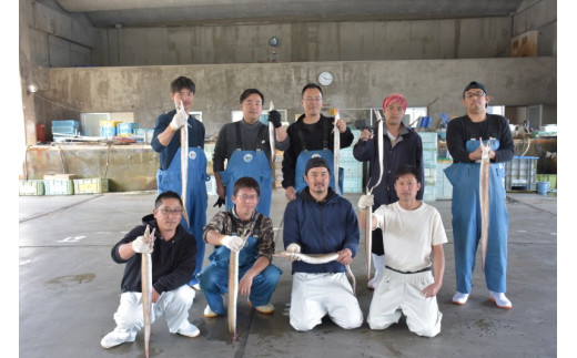 刺身 冷凍 鱧 鯛 イカ うお!づくし三種 伊予市 愛媛県産 国産 下灘 |B103