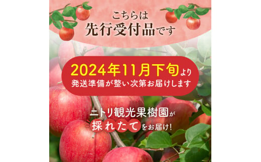 【先行予約：2024年11月25日～2025年1月31日発送】フルーツ王国余市産「ふじ」訳あり規格外品5kg【ニトリ観光果樹園】