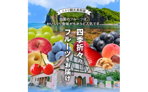 【先行予約：2024年11月25日～2025年1月31日発送】フルーツ王国余市産「ふじ」訳あり規格外品5kg【ニトリ観光果樹園】