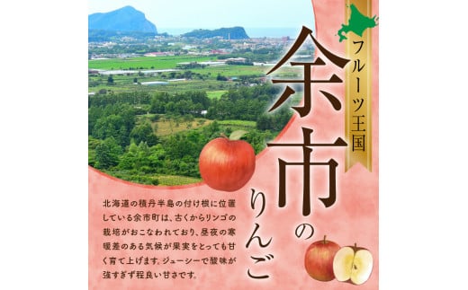 【先行予約：2024年11月25日～2025年1月31日発送】フルーツ王国余市産「ふじ」訳あり規格外品5kg【ニトリ観光果樹園】