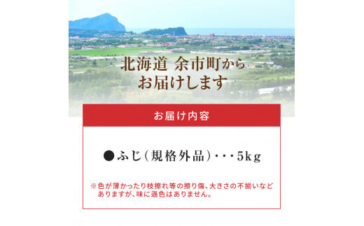 【先行予約：2024年11月25日～2025年1月31日発送】フルーツ王国余市産「ふじ」訳あり規格外品5kg【ニトリ観光果樹園】