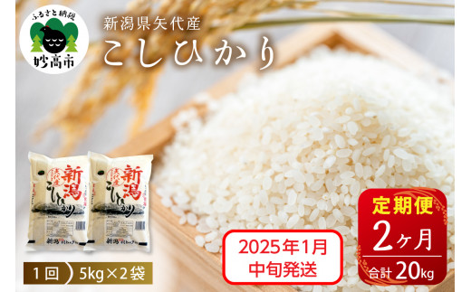 【2025年1月中旬発送】【定期便】令和6年産 新潟県矢代産コシヒカリ10kg(5kg×2袋)×2回（計20kg）