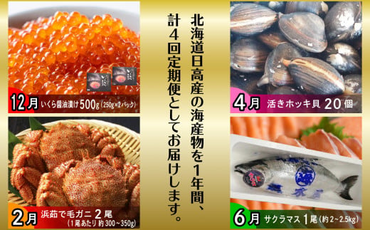 ＜2023年12月から順次発送＞【 定期便 4回 】 北海道産 海の幸 定期便 いくら 500ｇ ( 250 ｇ × 2 パック ) 毛がに 2尾 活きホッキ貝 20個 サクラマス まるごと 1尾 北海道 新ひだか町 ＜ 予約商品 ＞ いくら醤油漬 毛ガニ かに カニ 蟹 北寄 ほっき ホッキ 貝 さくらます 旬 魚介 海鮮 海産物