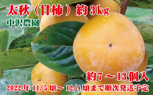 [No.5657-2678]太秋（甘柿）約3kg（約7～13個）《中沢農園》■2022年発送■※11月上旬頃～12月上旬頃まで順次発送予定