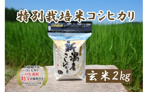 米 令和5年産 新潟上越三和産 特別栽培米コシヒカリ2kg 玄米 こしひかり コシヒカリ お米 こめ 新潟 新潟産