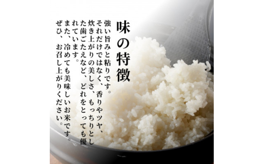 ＜新米受付＞令和6年産 新潟県産 栽培期間中農薬不使用 コシヒカリ「伊彌彦米 零(ぜろ)」 10kg【1517172】