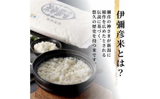 ＜新米受付＞令和6年産 新潟県産 栽培期間中農薬不使用 コシヒカリ「伊彌彦米 零(ぜろ)」 10kg【1517172】