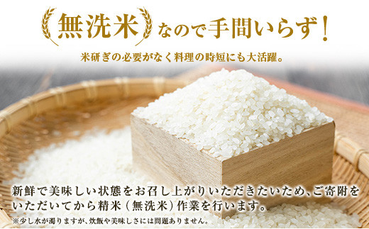 ヒノヒカリ 無洗米 10kg (1袋) 宮崎県都城市産 ＜単一原料米＞