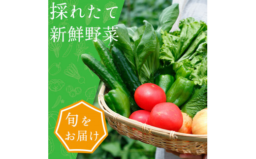 【７月下旬より配送予定】 野菜セット  片品村 尾瀬 新鮮