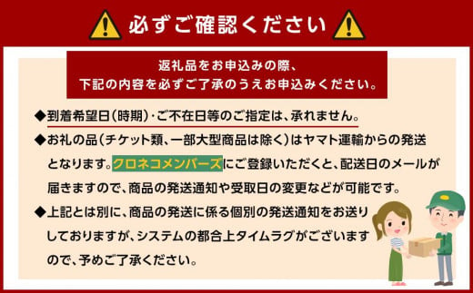 【秋の味覚】和歌山産たねなし柿2L～4Lサイズ約4kg（化粧箱入り）★2025年10月頃より順次発送【TM192】