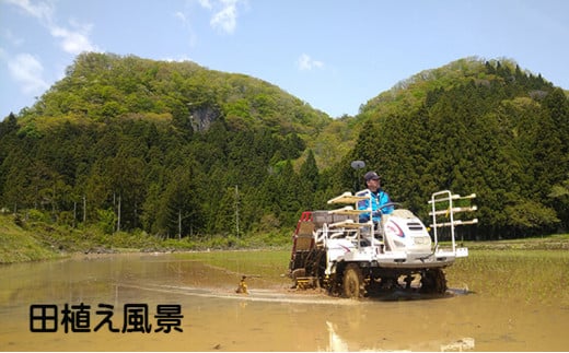 宮城県岩沼市産 志賀沢米 金のいぶき　玄米10kg（5kg×2） [№5704-0498]