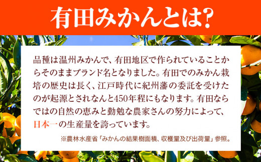 みかん 完熟有田みかん 約 3kg 有田マルシェ《11月下旬-1月中旬頃出荷予定》 和歌山県 日高町 みかん 有田 みかん 柑橘 フルーツ 完熟 ミカン 蜜柑 送料無料