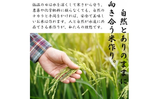 ＜先行受付＞令和6年産特別栽培米白河浪慢こしひかり　節減対象農薬:当地比5割減　5kg　精米【1532228】