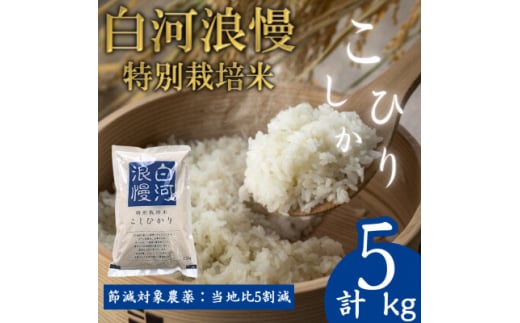 ＜先行受付＞令和6年産特別栽培米白河浪慢こしひかり　節減対象農薬:当地比5割減　5kg　精米【1532228】