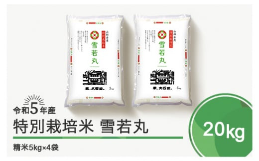 令和6年6月下旬発送 雪若丸20kg 精米  令和5年産