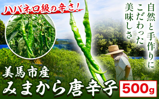 ピリリと辛い！ みまから唐辛子 500g ＜ 数量限定 ＞ 有限会社美馬交流館《8月上旬‐9月上旬出荷》徳島県 美馬市 みまから 送料無料