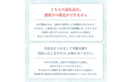 冷凍伊勢海老１kg（サイズおまかせ）エビ 甲殻類 海鮮BBQ アウトドア キャンプ お祝い えび 伊勢えび イセエビ 刺身 お刺身 鍋 お味噌汁 冷凍配送 海鮮 魚介類 海の幸【R00640】