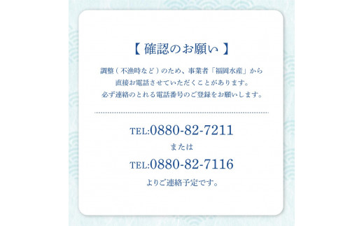 冷凍伊勢海老１kg（サイズおまかせ）エビ 甲殻類 海鮮BBQ アウトドア キャンプ お祝い えび 伊勢えび イセエビ 刺身 お刺身 鍋 お味噌汁 冷凍配送 海鮮 魚介類 海の幸【R00640】