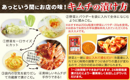 キムチ革命 キムチパウダー お試しパック 1袋入り60g 樽の味《30日以内に出荷予定(土日祝除く)》 和歌山県 日高川町 キムチ 素 キムチの素 お試し 漬物 唐辛子 簡単 手作り 無添加