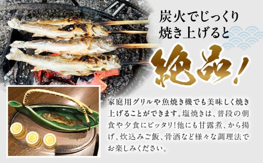 白川村産 天然岩魚 イワナ 5尾 10000円 [S802]年内お届け 年内配送