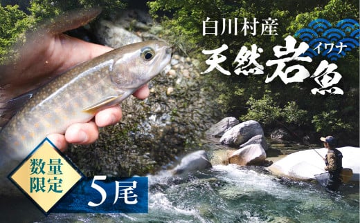 白川村産 天然岩魚 イワナ 5尾 10000円 [S802]年内お届け 年内配送