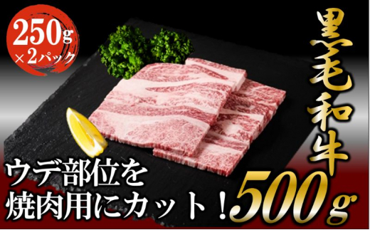 黒毛和牛 焼肉用 500g （250g×2パック） 国産 お肉 和牛 牛 精肉 食品 [№5802-0951]