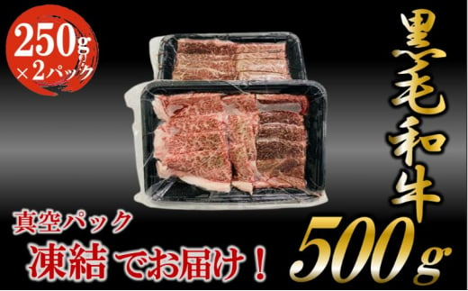 黒毛和牛 焼肉用 500g （250g×2パック） 国産 お肉 和牛 牛 精肉 食品 [№5802-0951]